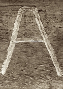 Wall_Art_Alphabet_Photography_Art_ 121